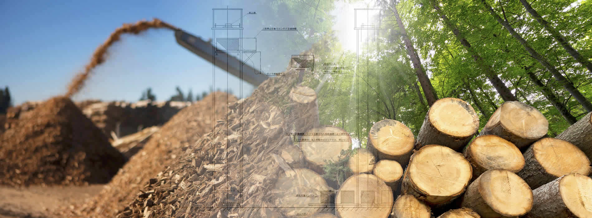 バイオマス発電